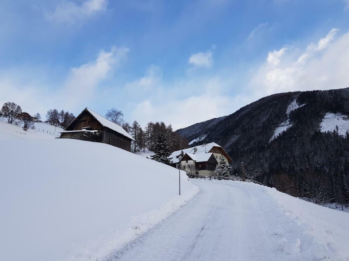 Ferienwohnung Biohof Laussnitzer In Rennweg Rennweg am Katschberg Exteriör bild